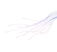 side-vector2.png